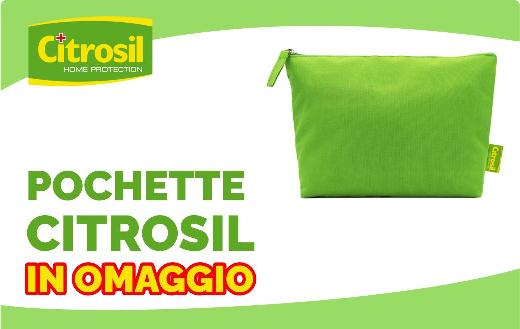 Diciotto